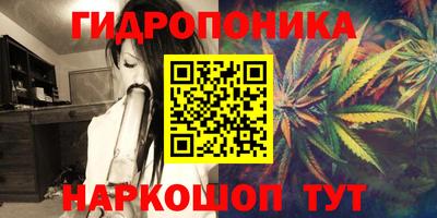 крисы Заволжье