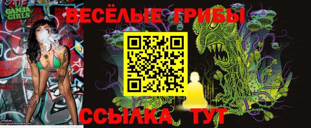 Псилоцибиновые грибы Cubensis Энгельс