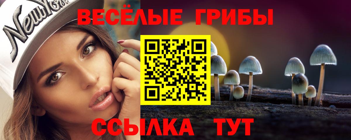 Галлюциногенные грибы Psilocybe  Галлюциногенные грибы Psilocybine cubensis  купить наркотик  Энгельс  Вход с VPN 
